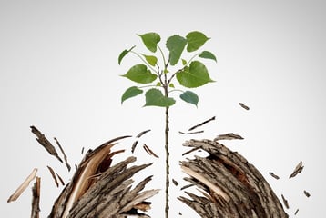 Myths Blog 511017 edited.jpeg