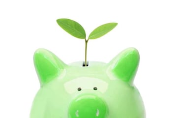 Go Green and Save Money!