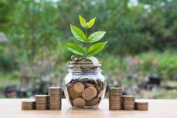 cc invest plant 122802 edited